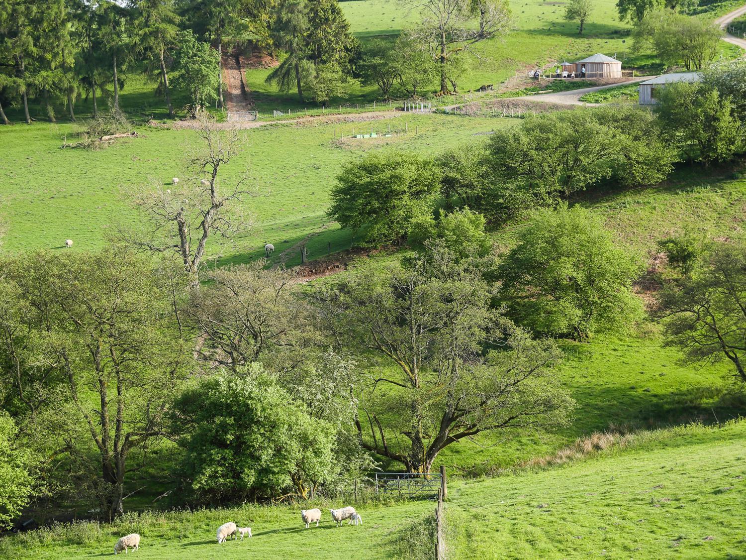 Rolling Hills Villa Newcastle  Dış mekan fotoğraf