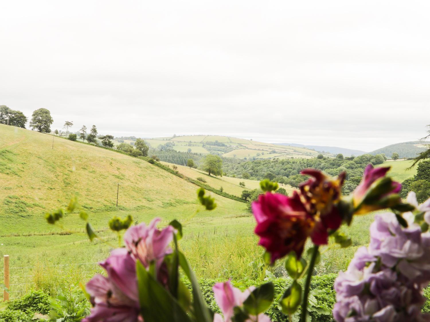 Rolling Hills Villa Newcastle  Dış mekan fotoğraf