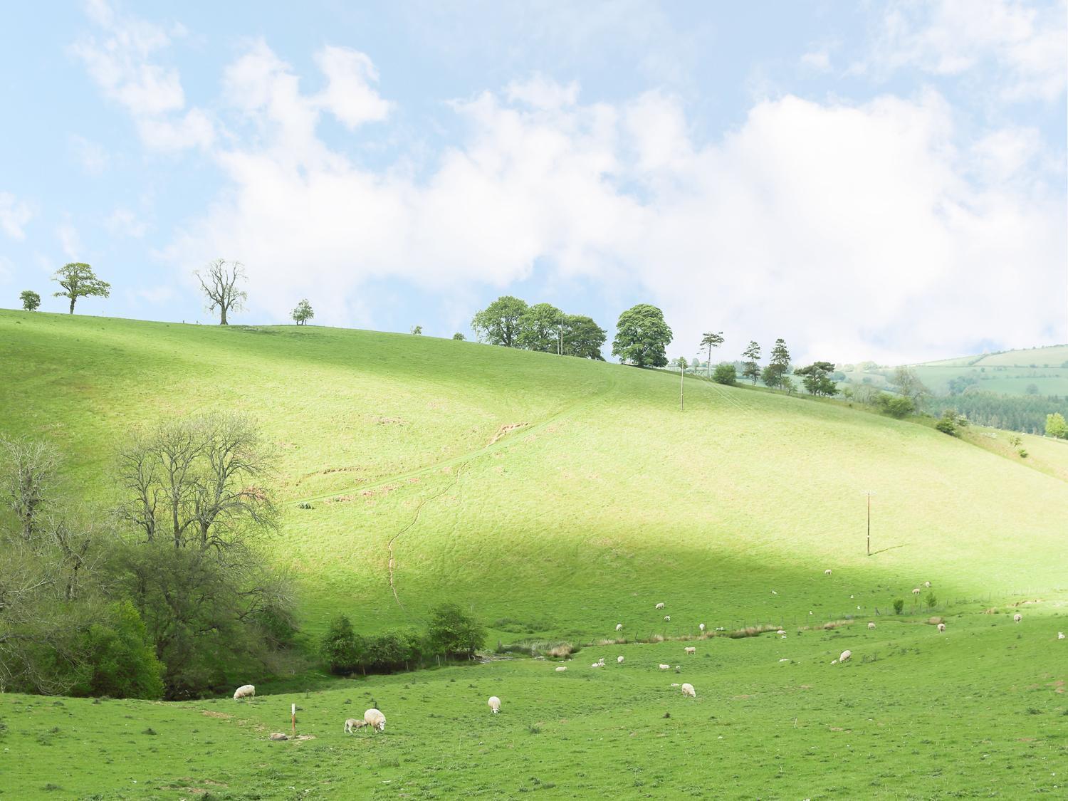 Rolling Hills Villa Newcastle  Dış mekan fotoğraf