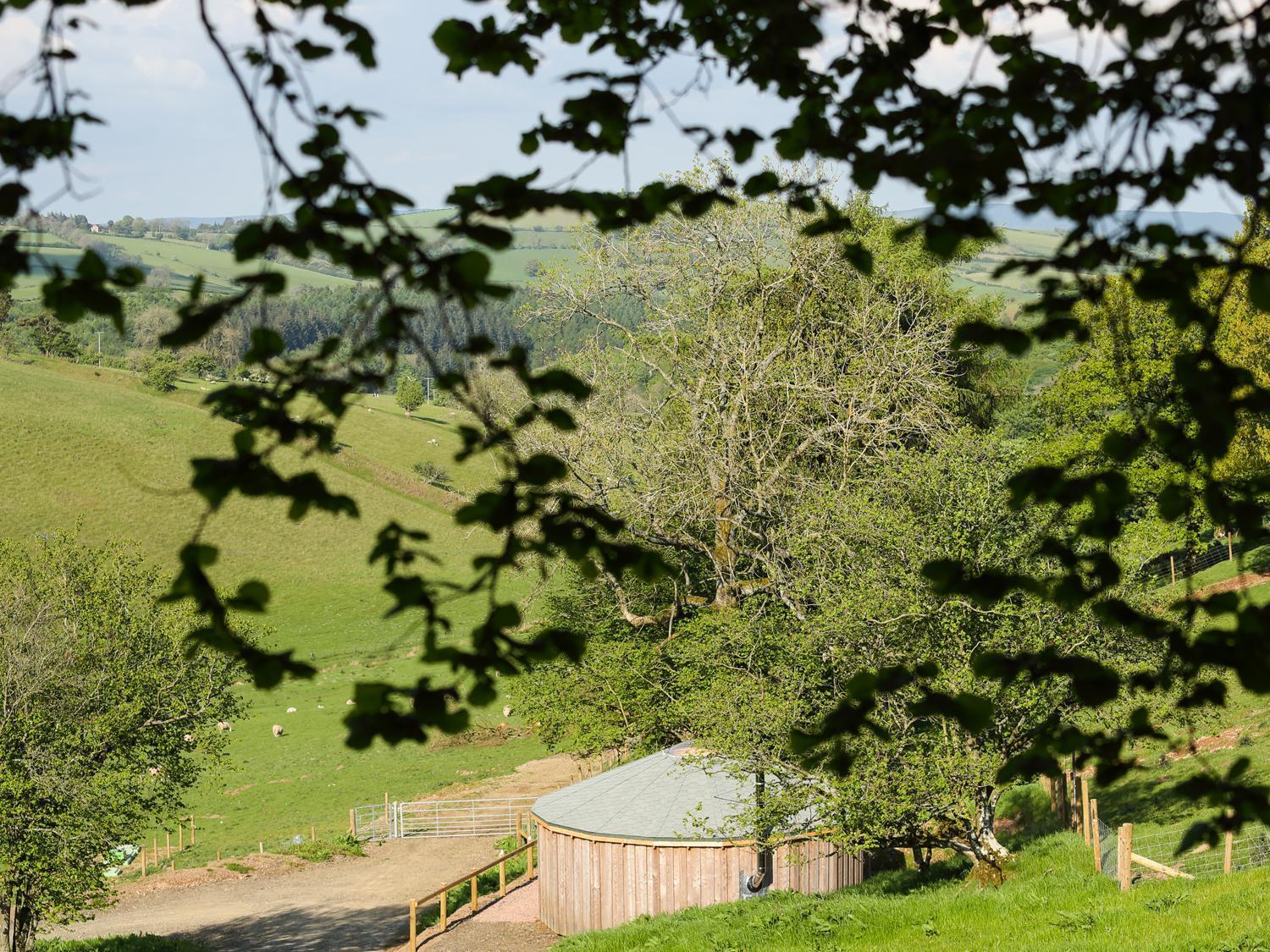 Rolling Hills Villa Newcastle  Dış mekan fotoğraf